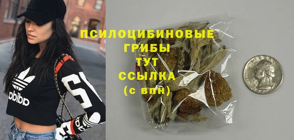 прущая мука Арсеньев