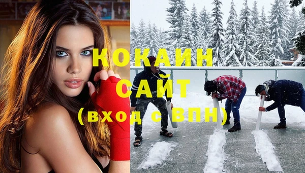 ПСИЛОЦИБИНОВЫЕ ГРИБЫ Аркадак