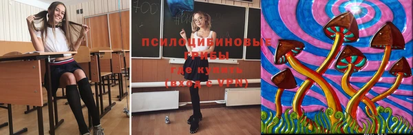 прущая мука Арсеньев