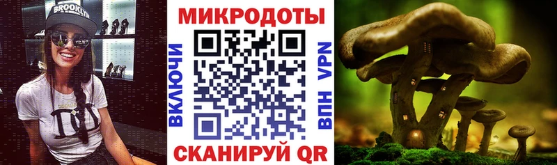 Галлюциногенные грибы Magic Shrooms  закладка  Соль-Илецк 